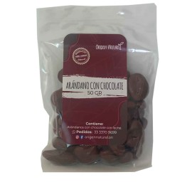 Arándanos Con Chocolates .50gr - Origen Naural